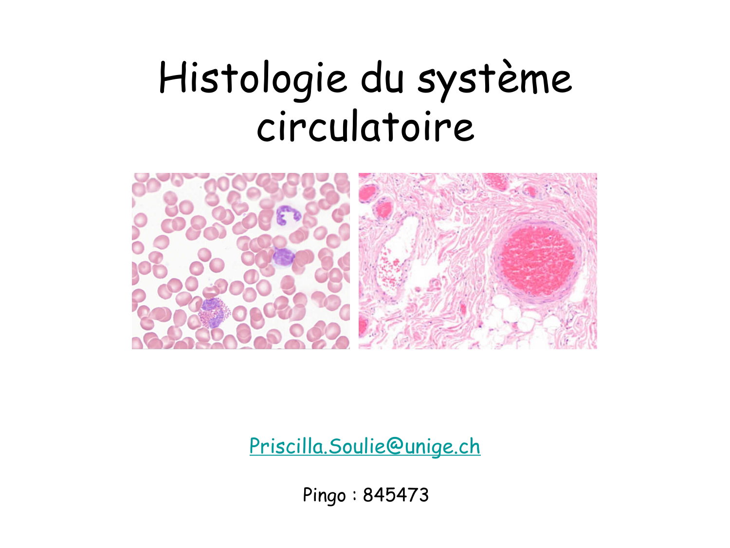 TP histologie — système circulatoire page 1