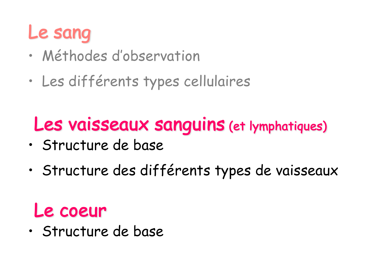 TP histologie — système circulatoire page 2