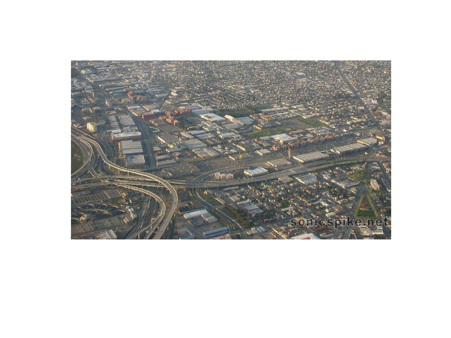 TP histologie — système circulatoire page 6