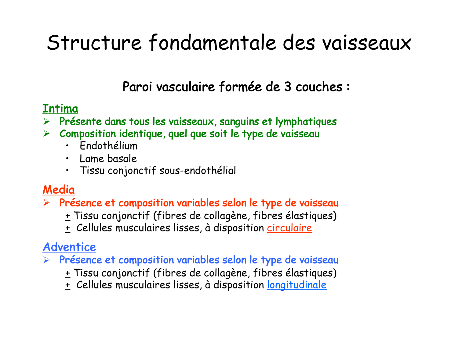 TP histologie — système circulatoire page 8