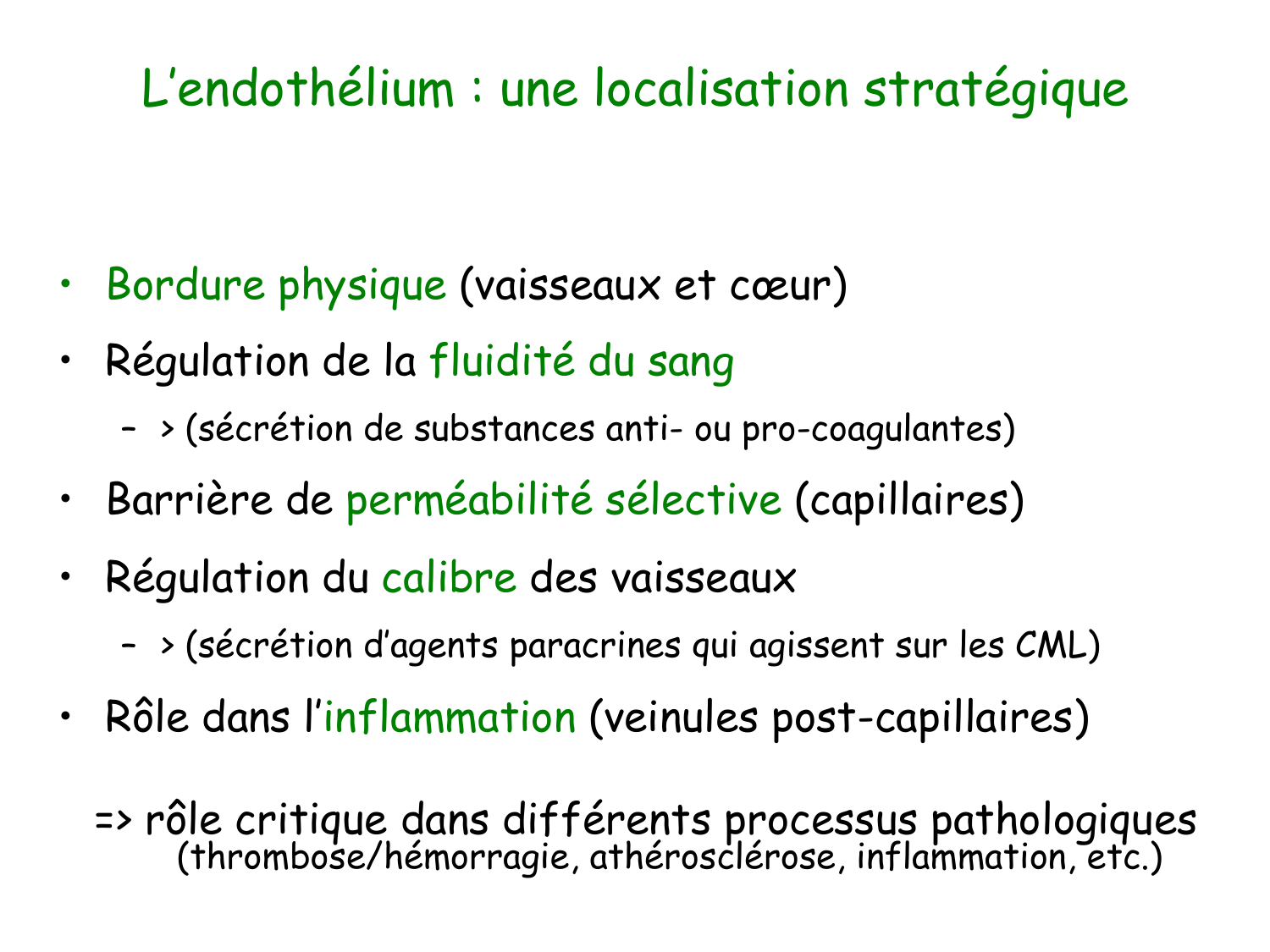 TP histologie — système circulatoire page 13