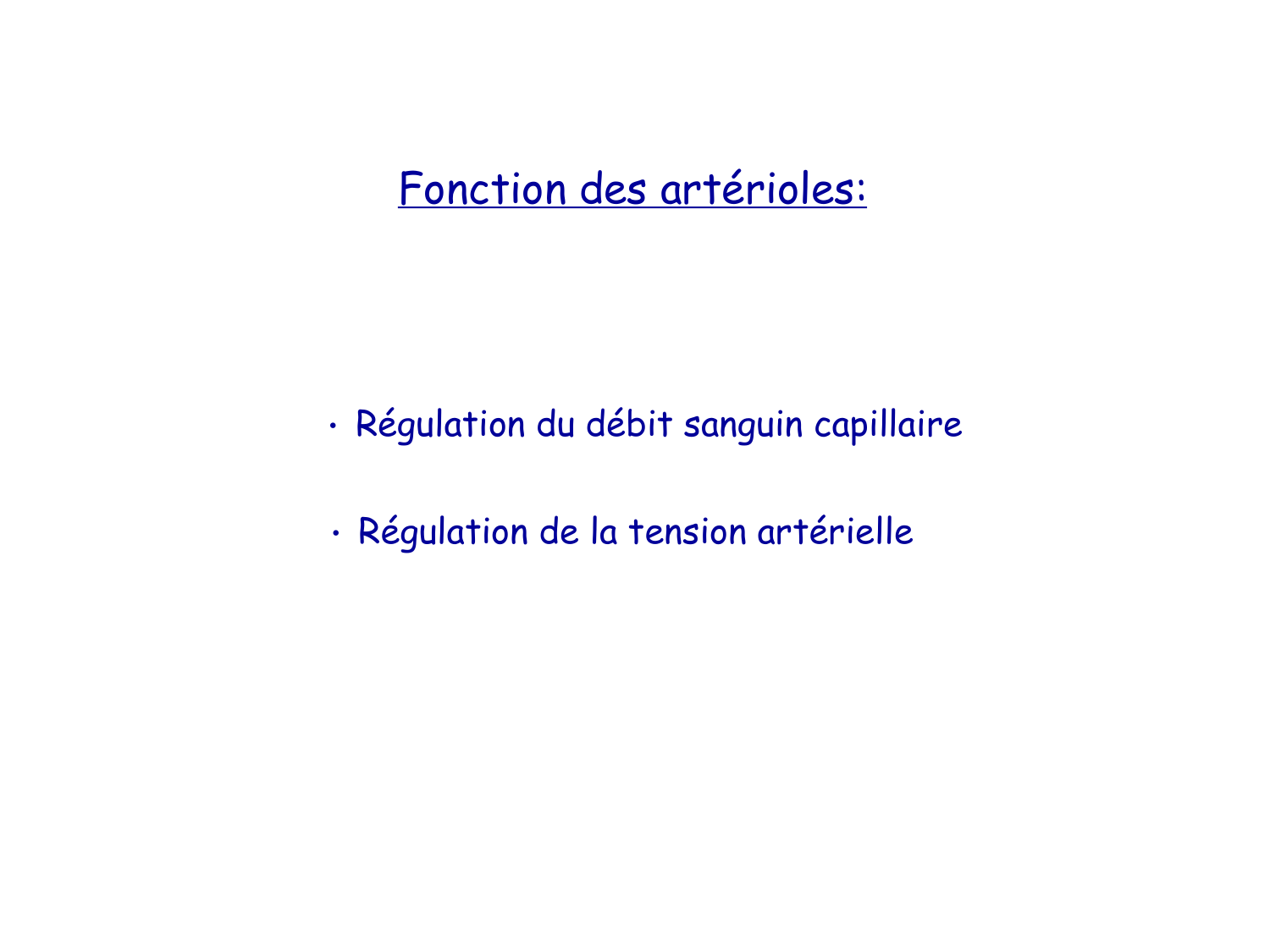 TP histologie — système circulatoire page 38
