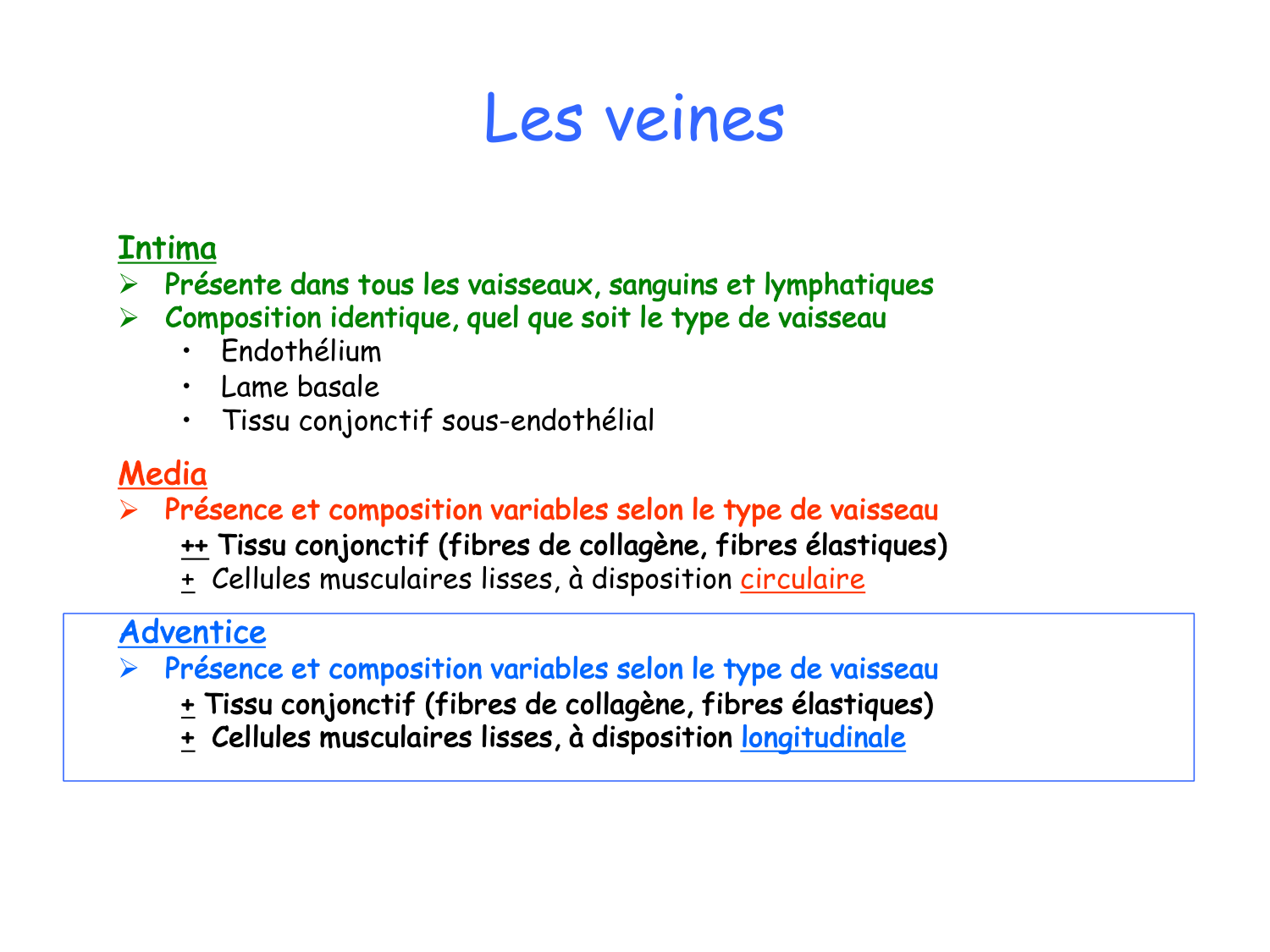 TP histologie — système circulatoire page 40