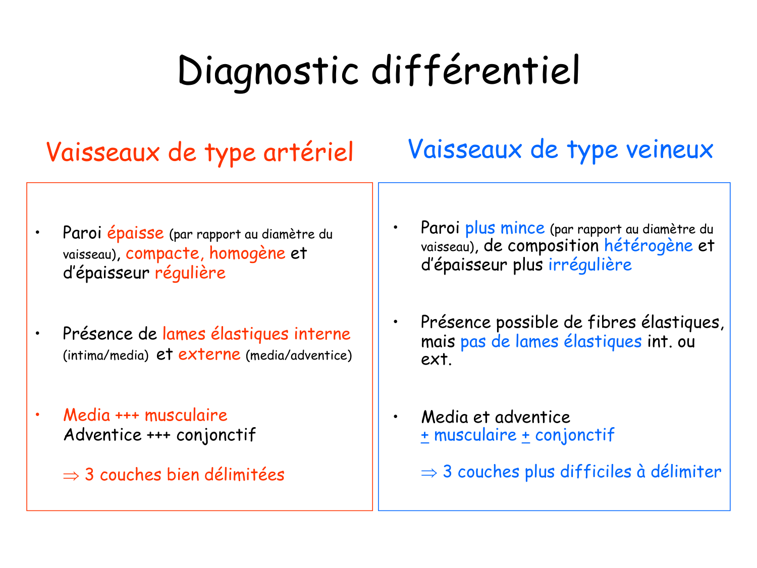 TP histologie — système circulatoire page 46