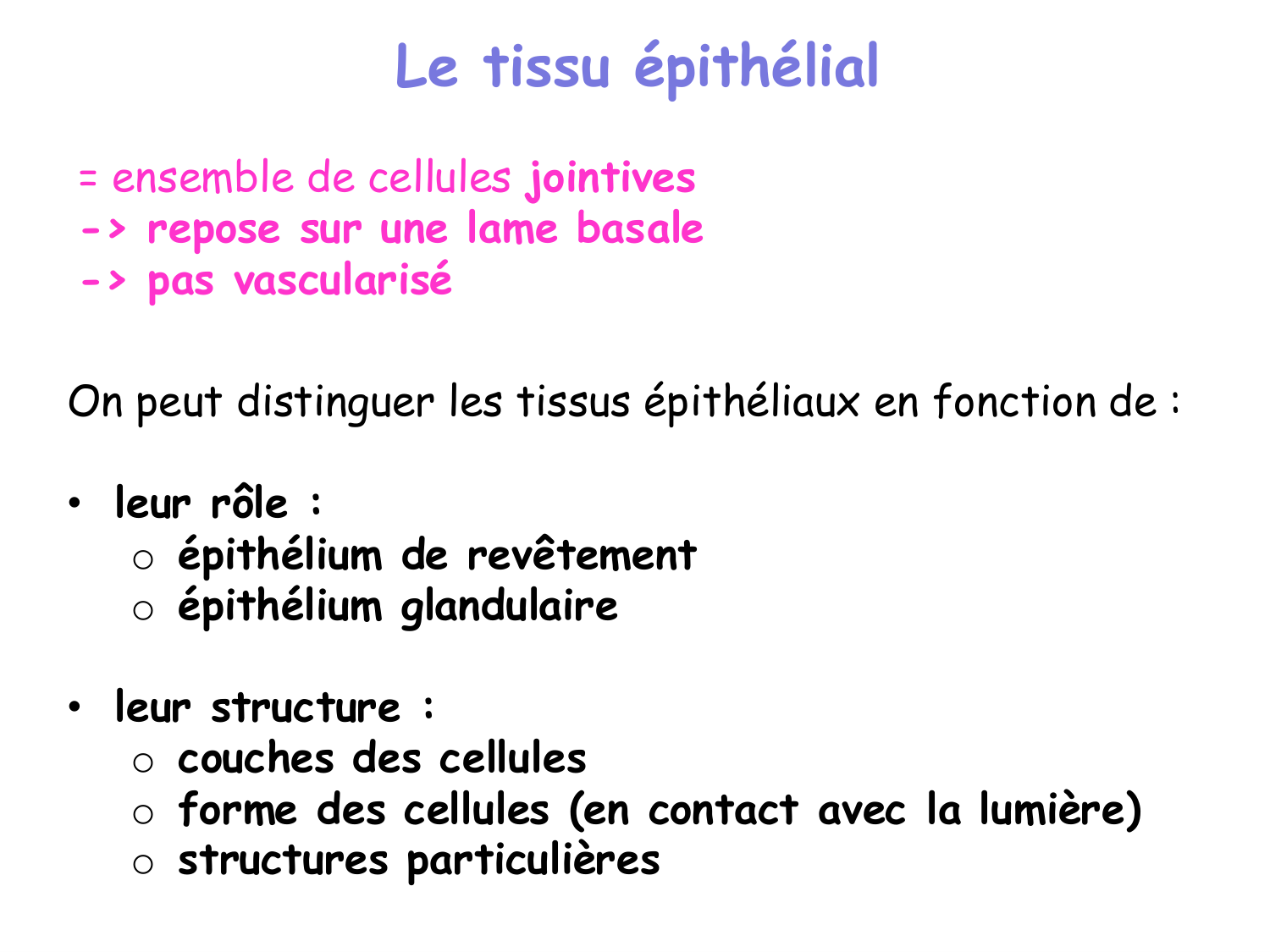TP histologie — épithélium page 2