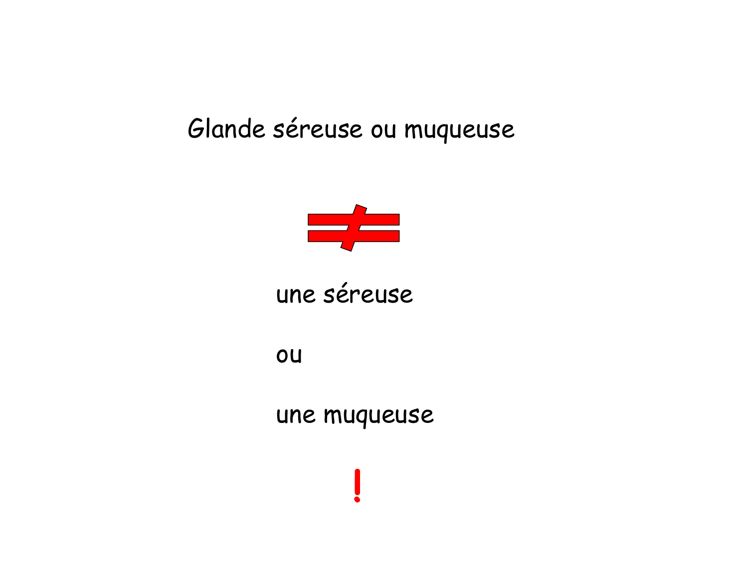 TP histologie — épithélium page 29