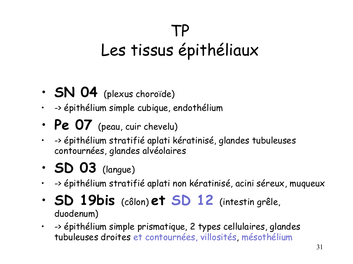 TP histologie — épithélium page 31