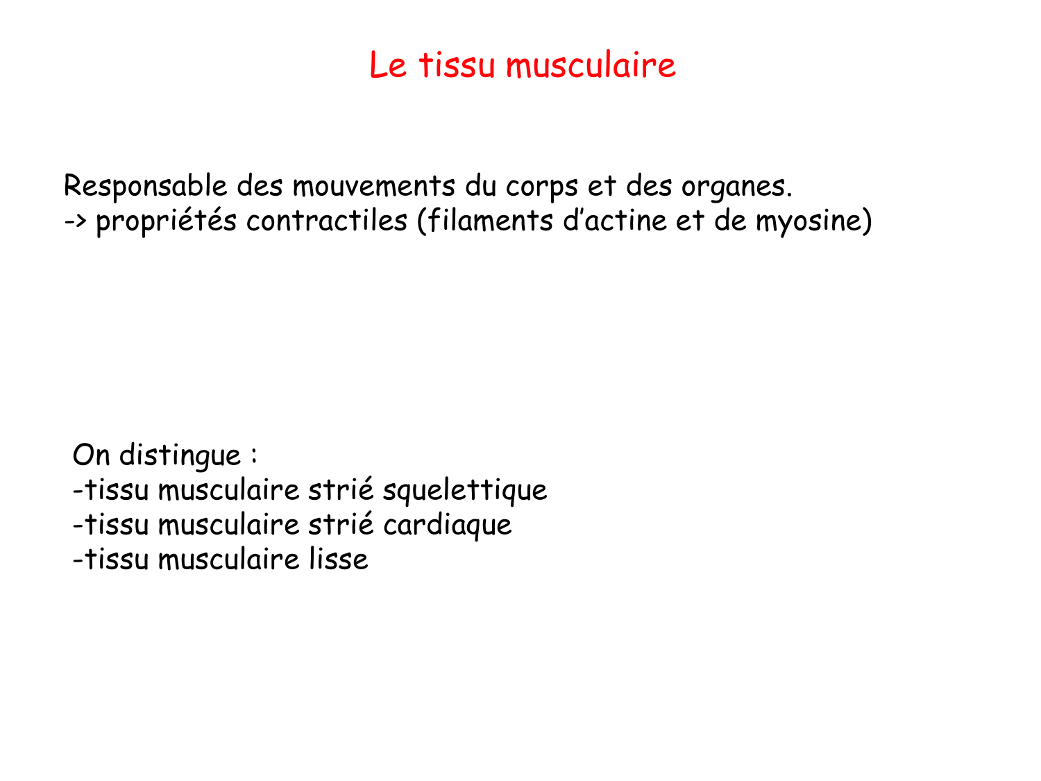 TP histologie — muscle page 2