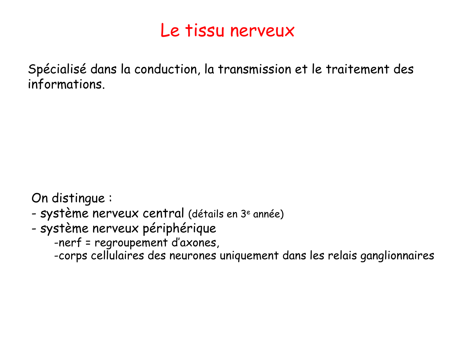 TP histologie — tissu nerveux page 2