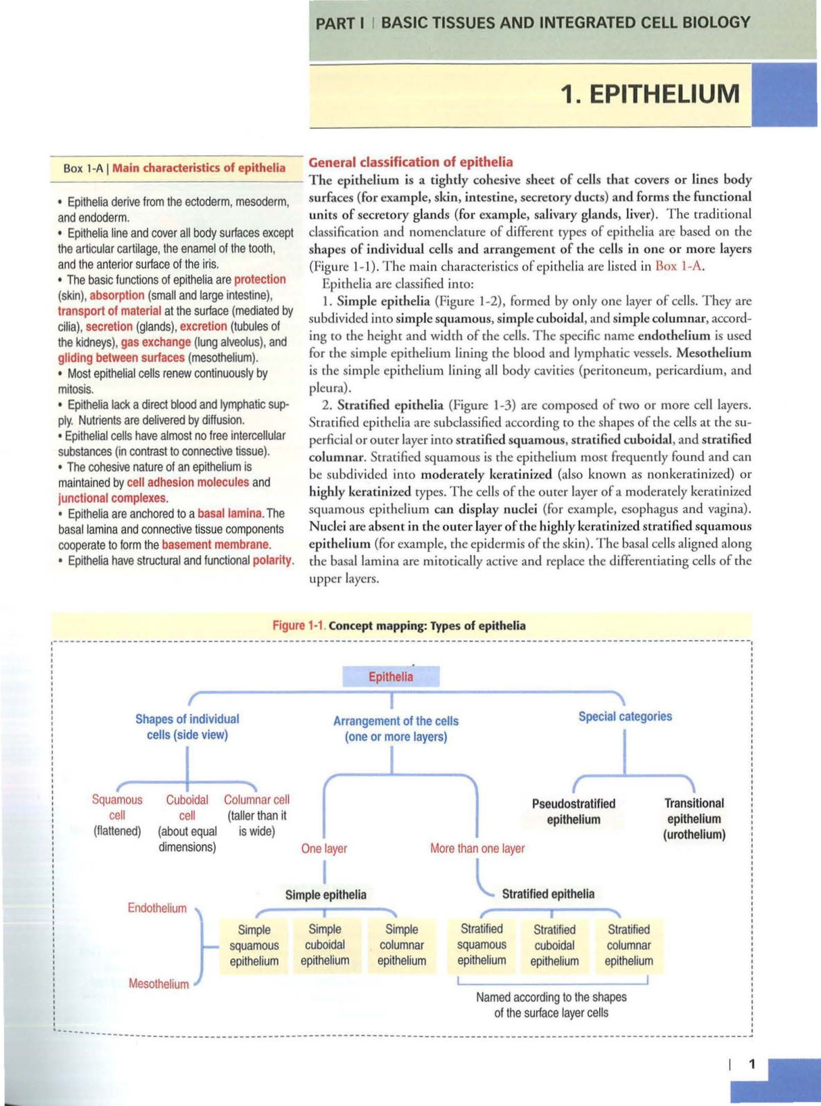 1 TE Kierszenbaum 3ed 1-7 59-63 page 1