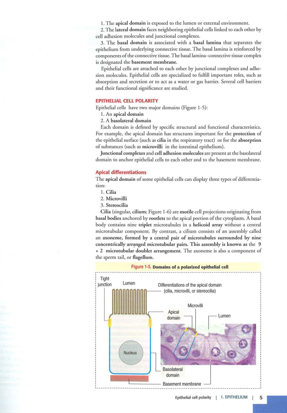 1 TE Kierszenbaum 3ed 1-7 59-63 page 5