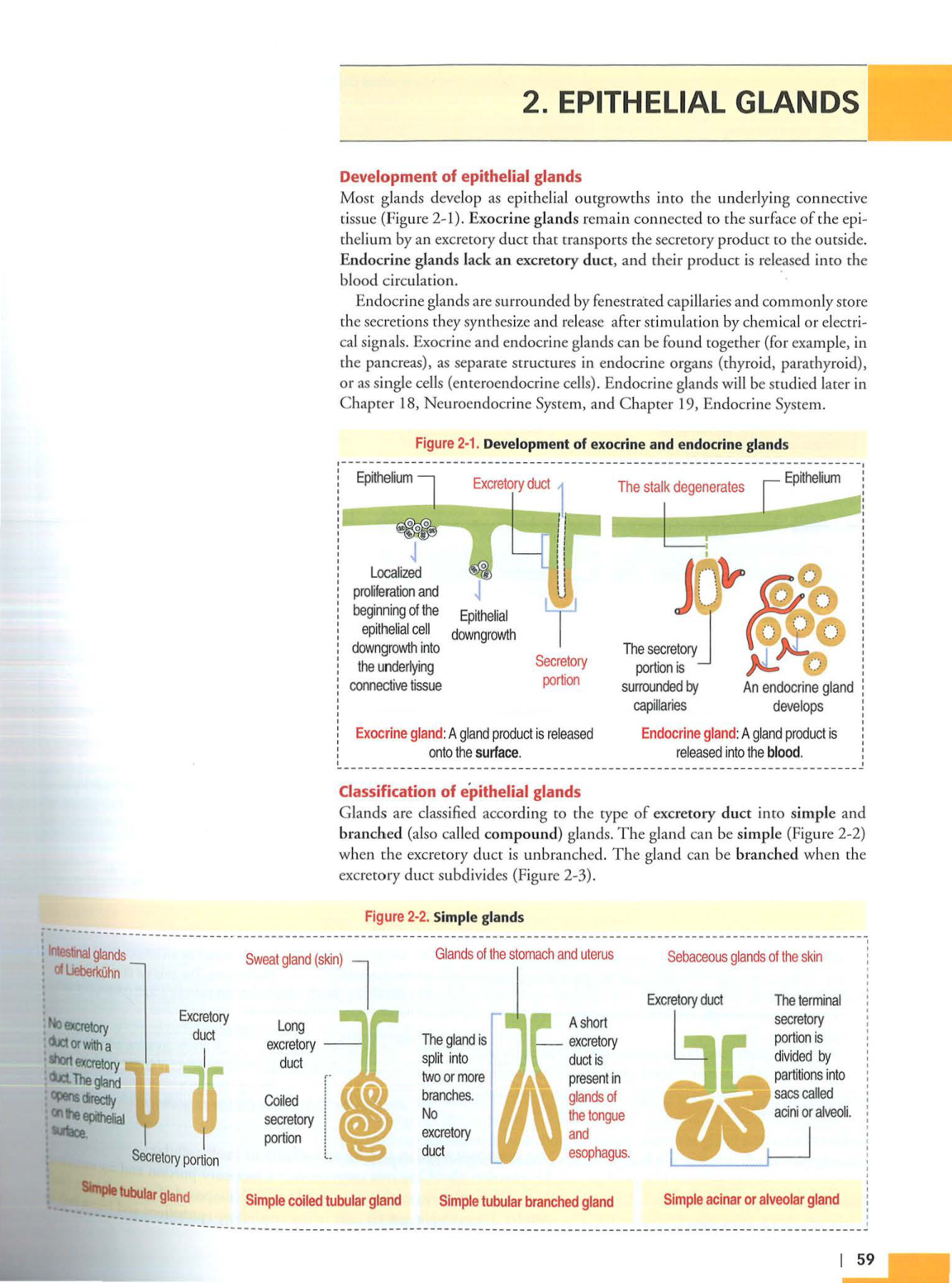 1 TE Kierszenbaum 3ed 1-7 59-63 page 8