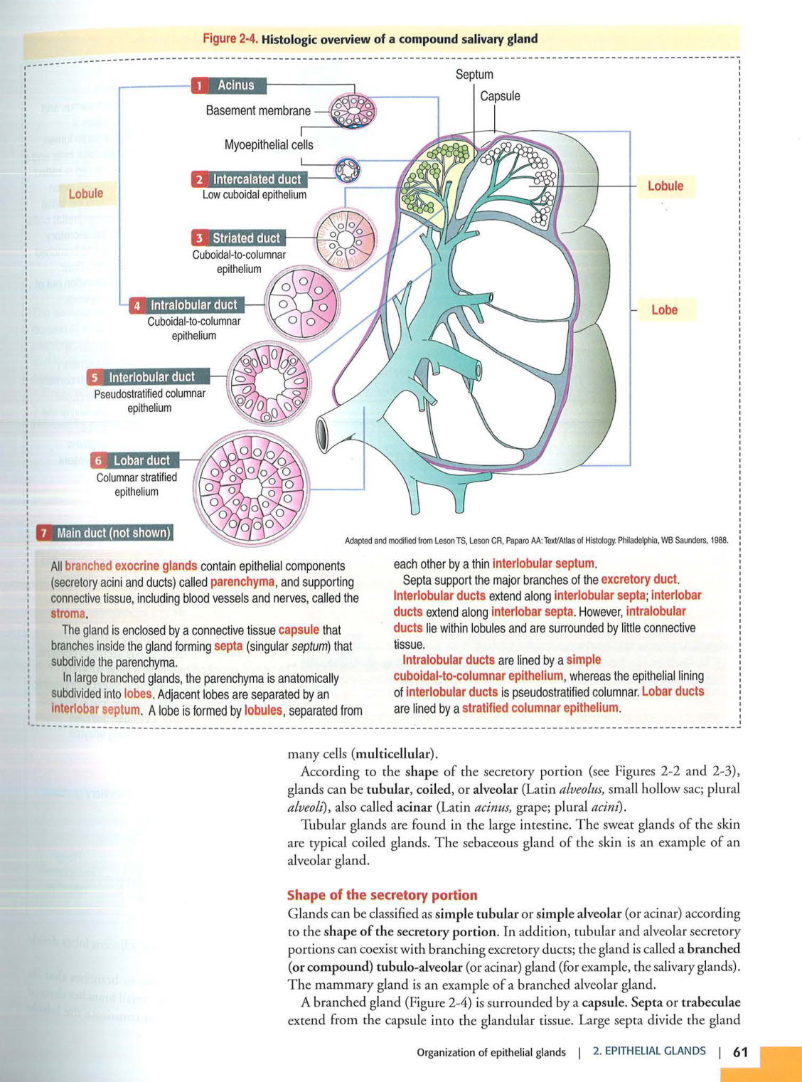 1 TE Kierszenbaum 3ed 1-7 59-63 page 10