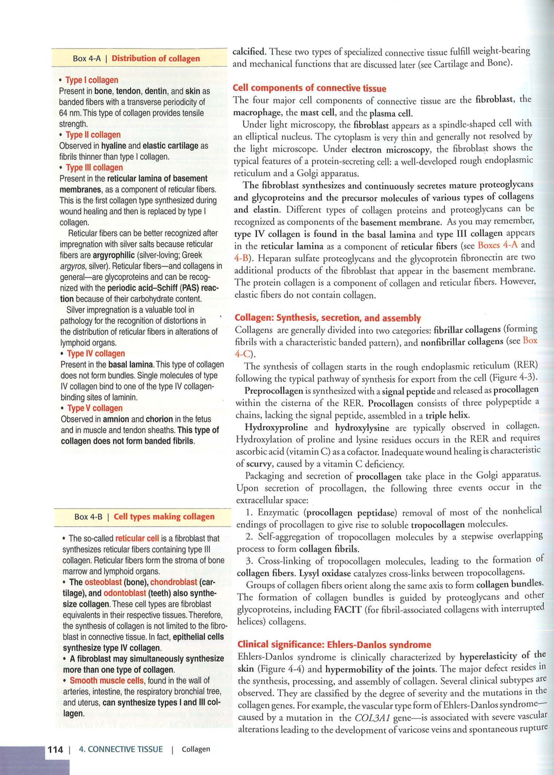 2 TC Kierszenbaum 3ed 111-114 119-123 126 128-131 151-152 page 4