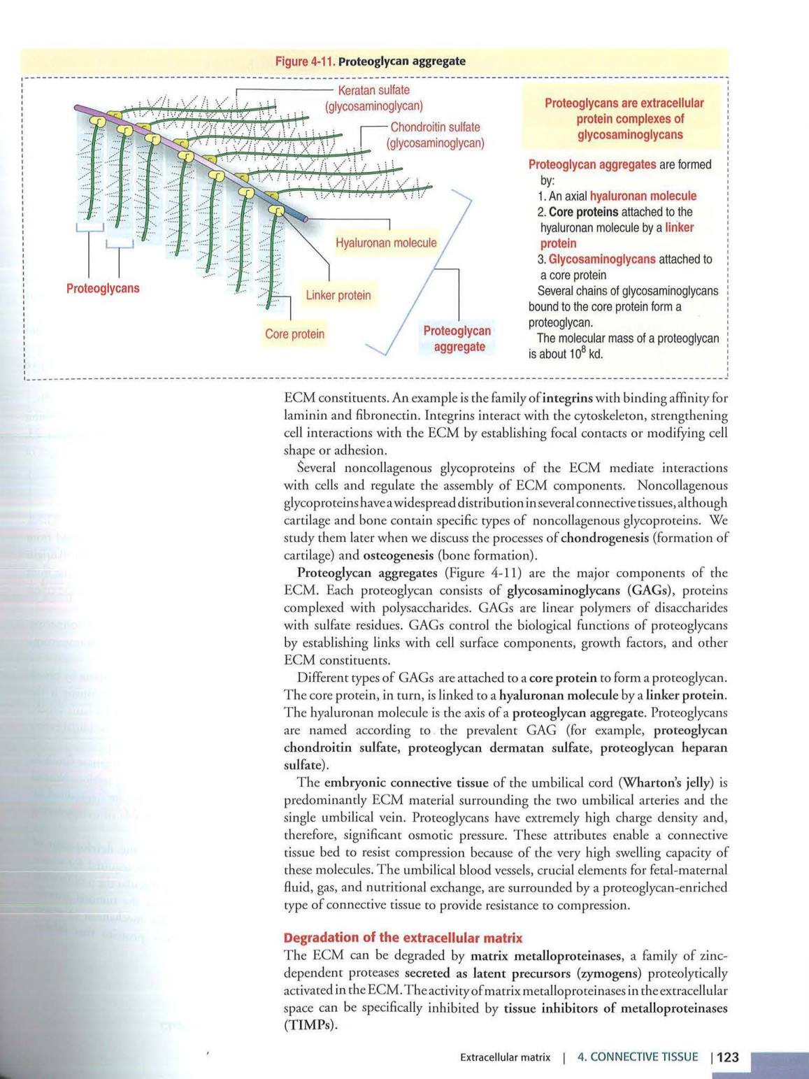 2 TC Kierszenbaum 3ed 111-114 119-123 126 128-131 151-152 page 9