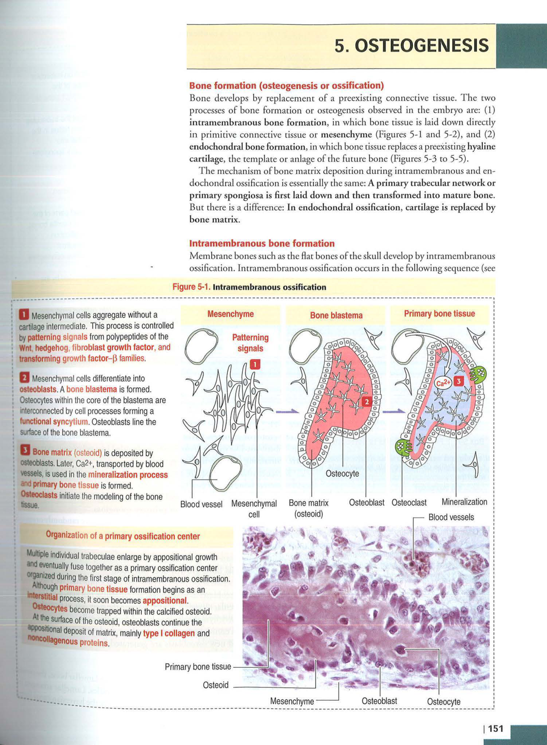 2 TC Kierszenbaum 3ed 111-114 119-123 126 128-131 151-152 page 15