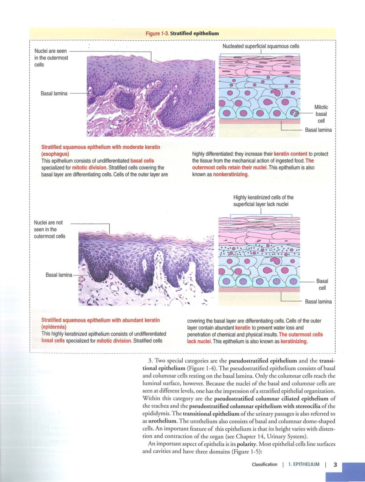 1 TE Kierszenbaum 3ed 1-7 59-63 page 3