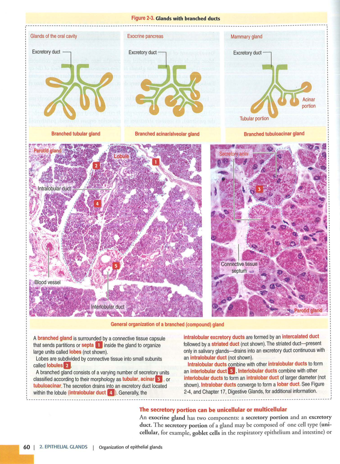 1 TE Kierszenbaum 3ed 1-7 59-63 page 9