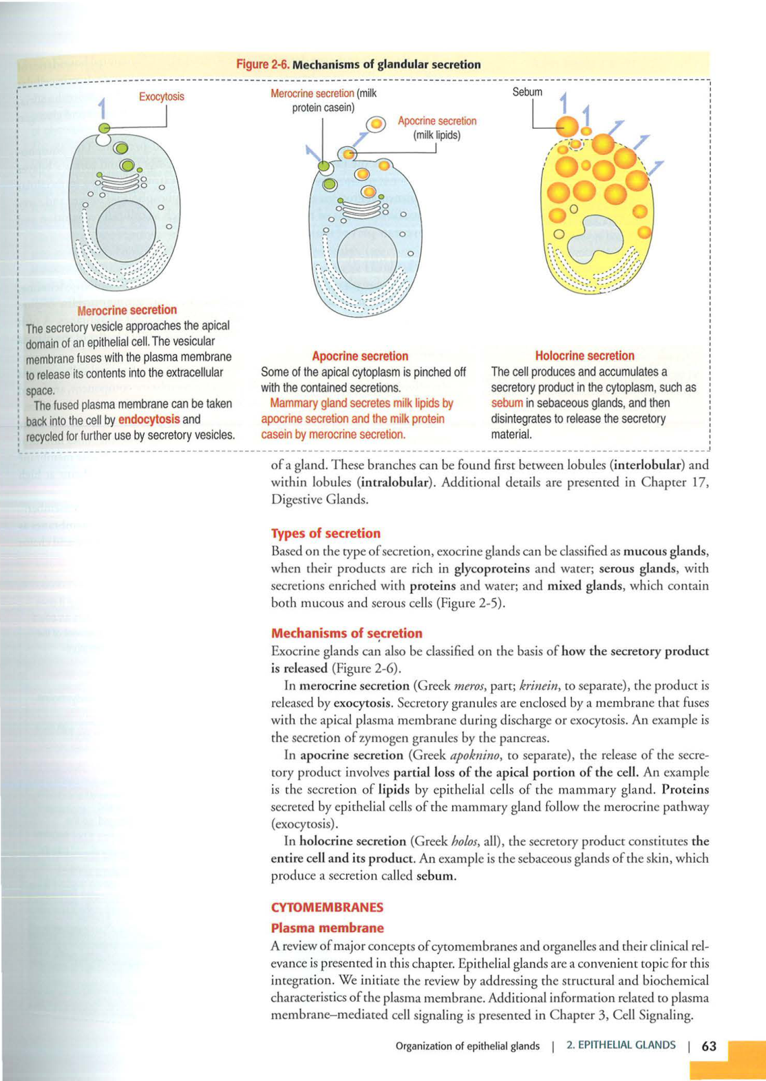 1 TE Kierszenbaum 3ed 1-7 59-63 page 12