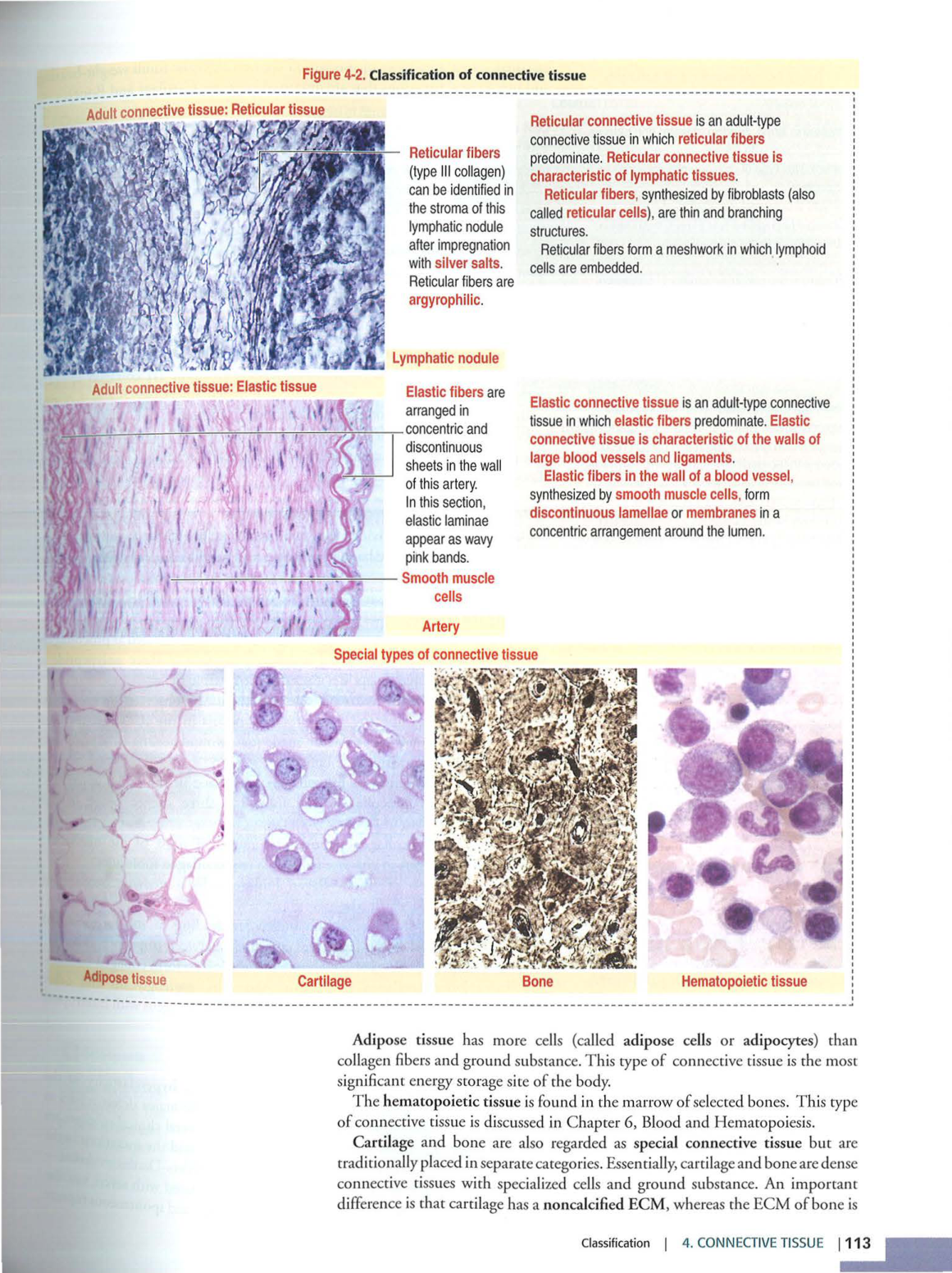 2 TC Kierszenbaum 3ed 111-114 119-123 126 128-131 151-152 page 3