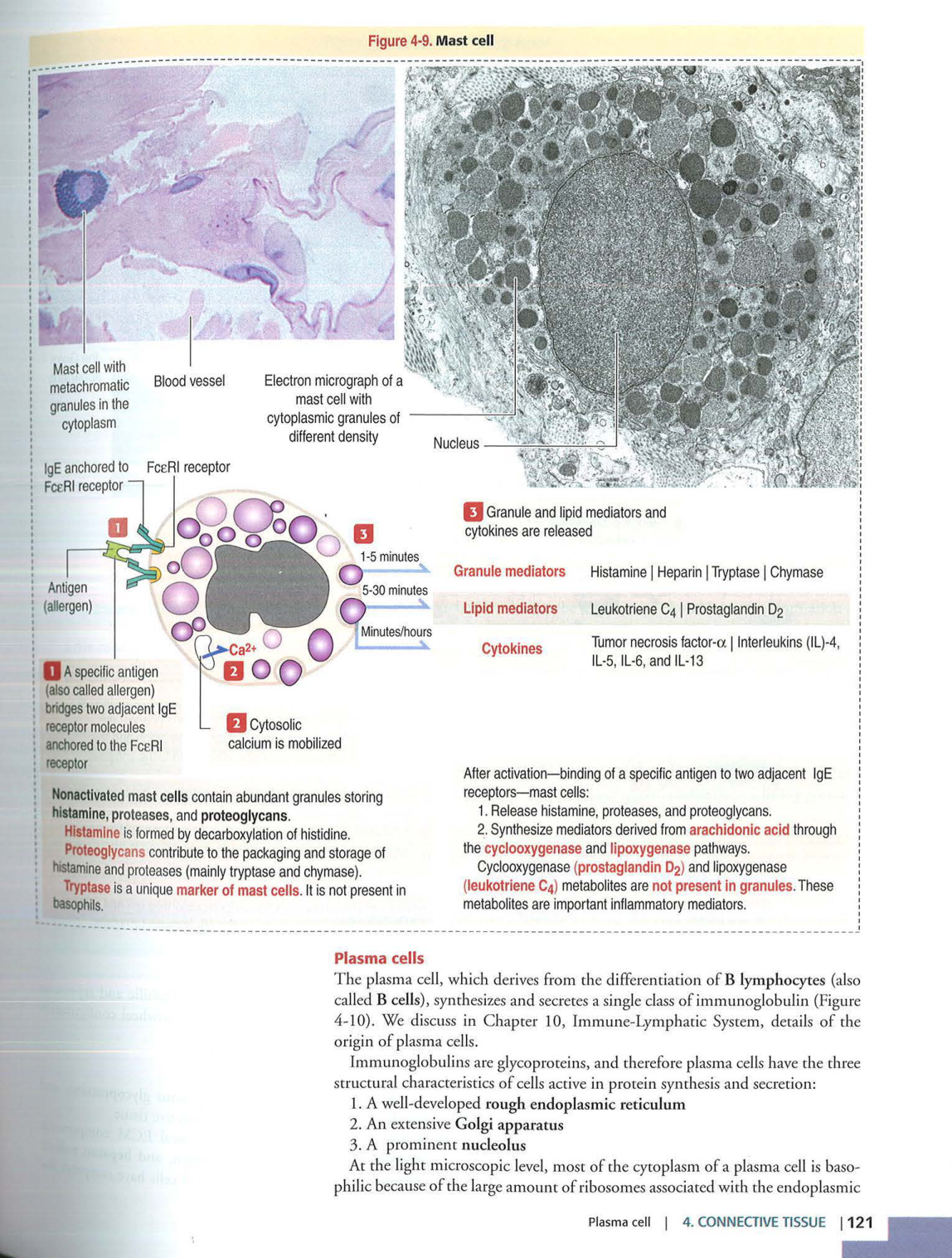 2 TC Kierszenbaum 3ed 111-114 119-123 126 128-131 151-152 page 7