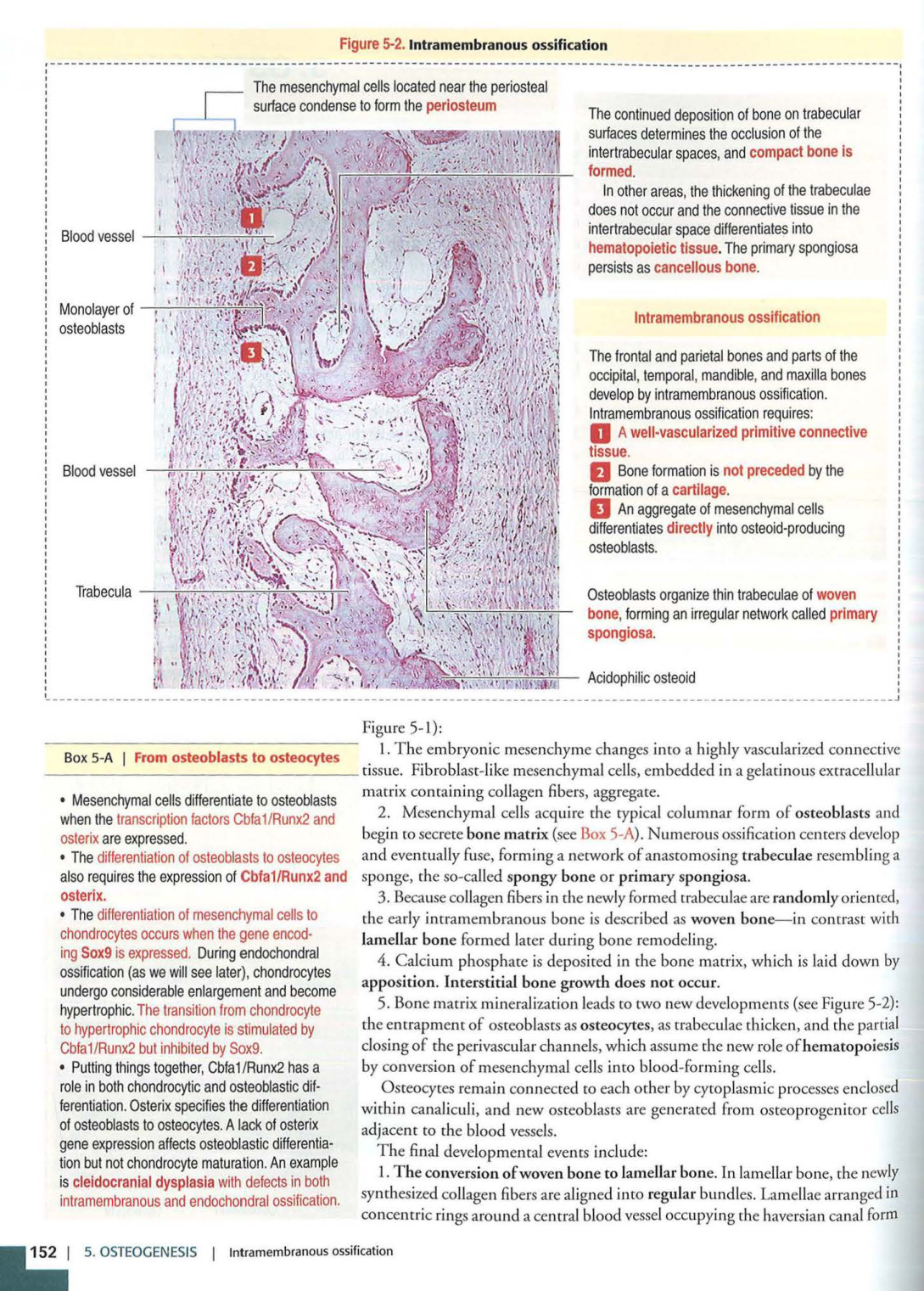 2 TC Kierszenbaum 3ed 111-114 119-123 126 128-131 151-152 page 16
