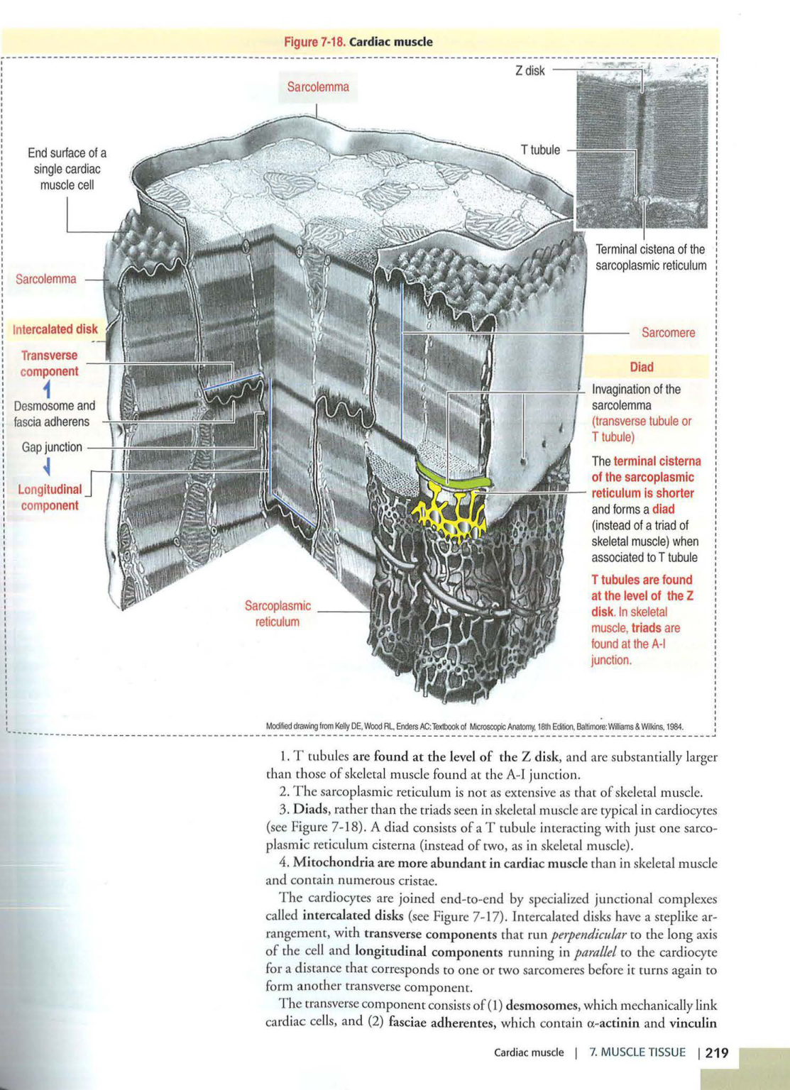 3 TM Kierszenbaum 3ed 203-204 218-220 222-223 page 4