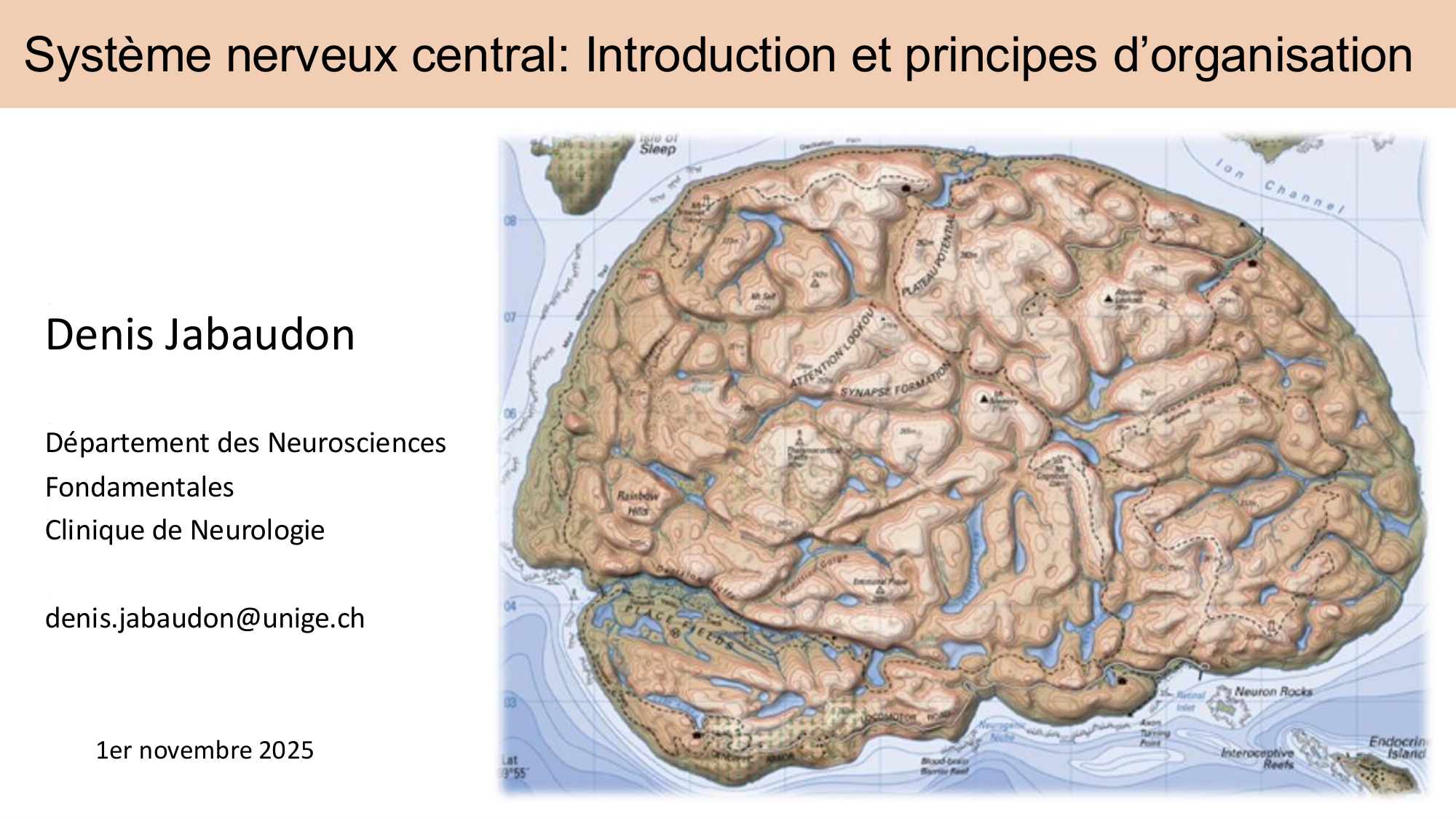 Tissu nerveux I page 2