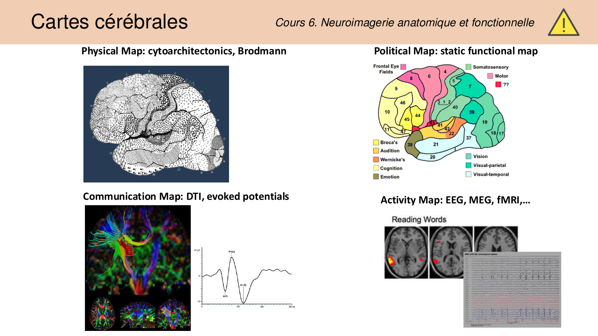Tissu nerveux I page 17