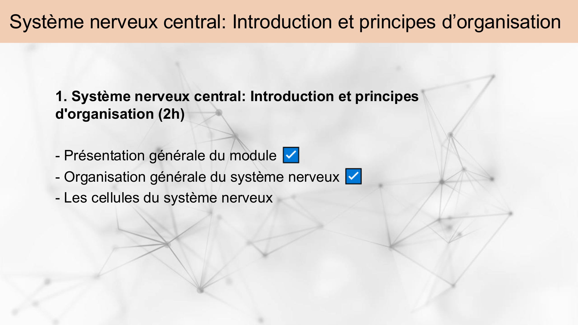 Tissu nerveux I page 24