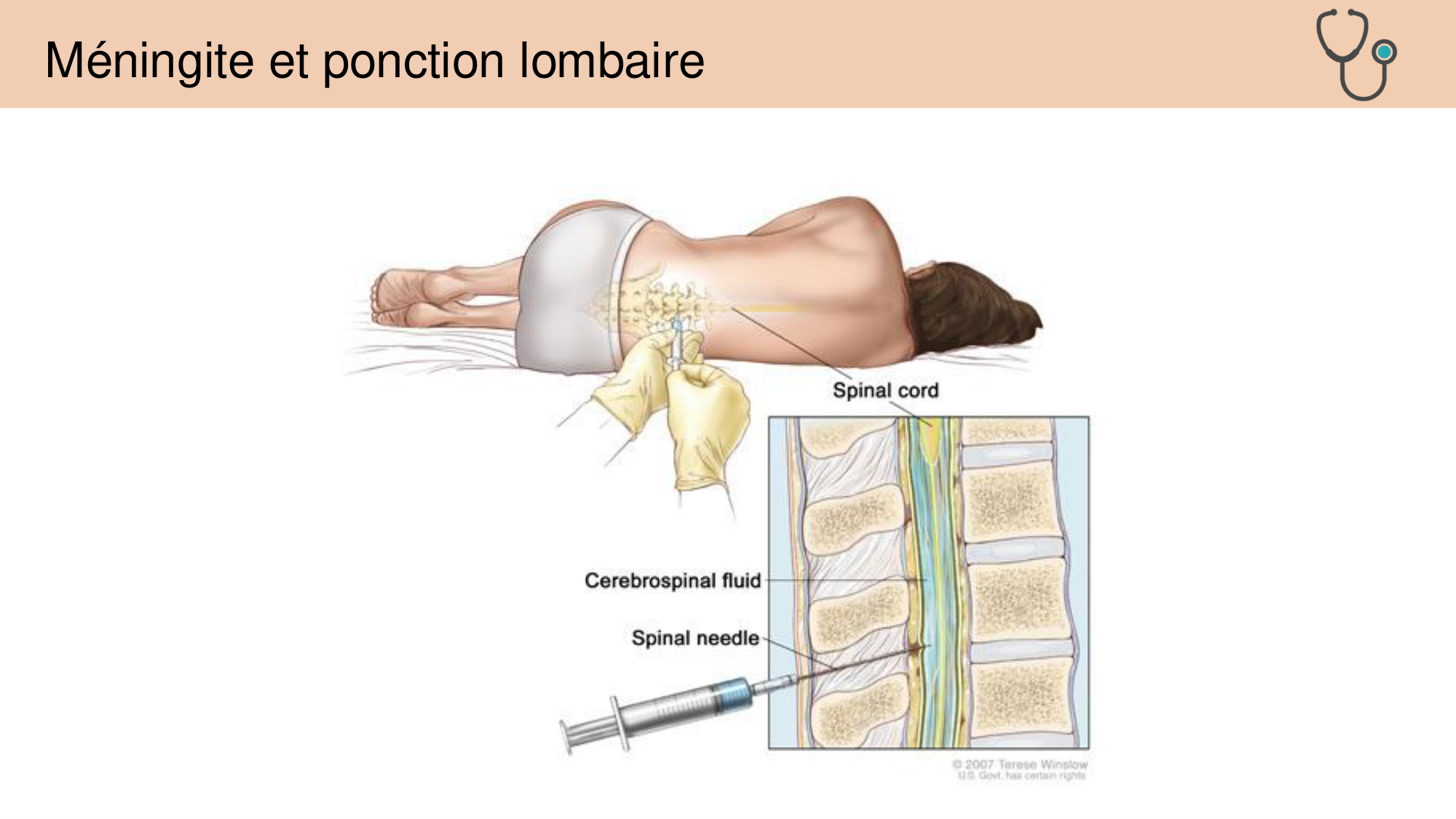 Tissu nerveux I page 62