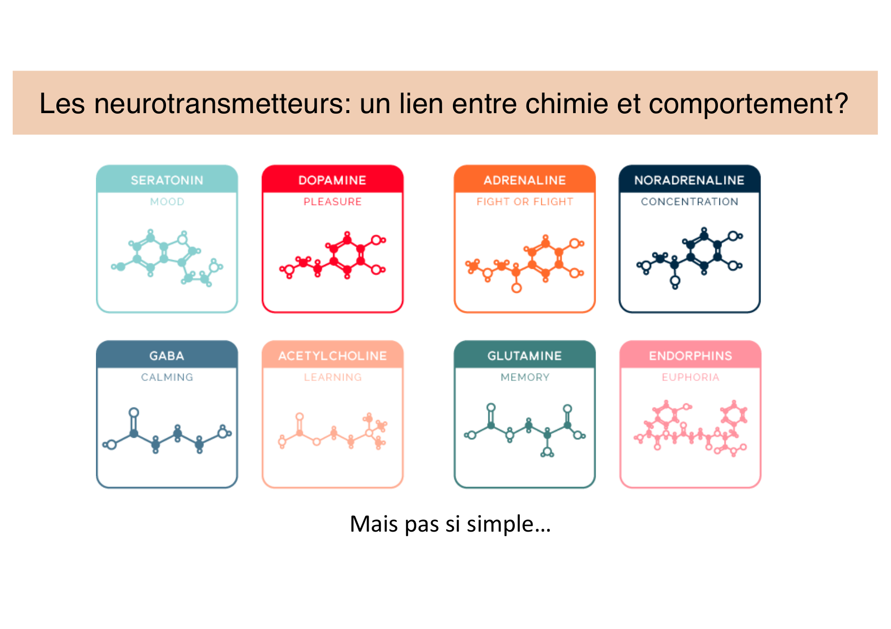 Tissu nerveux II page 2