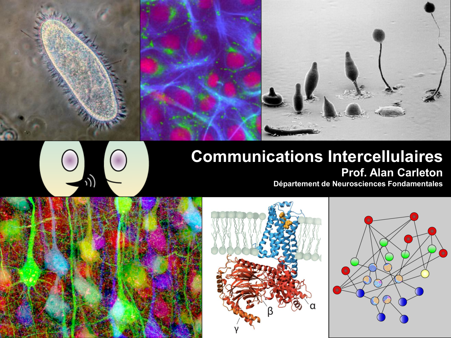 Signalisation cellulaire I page 1