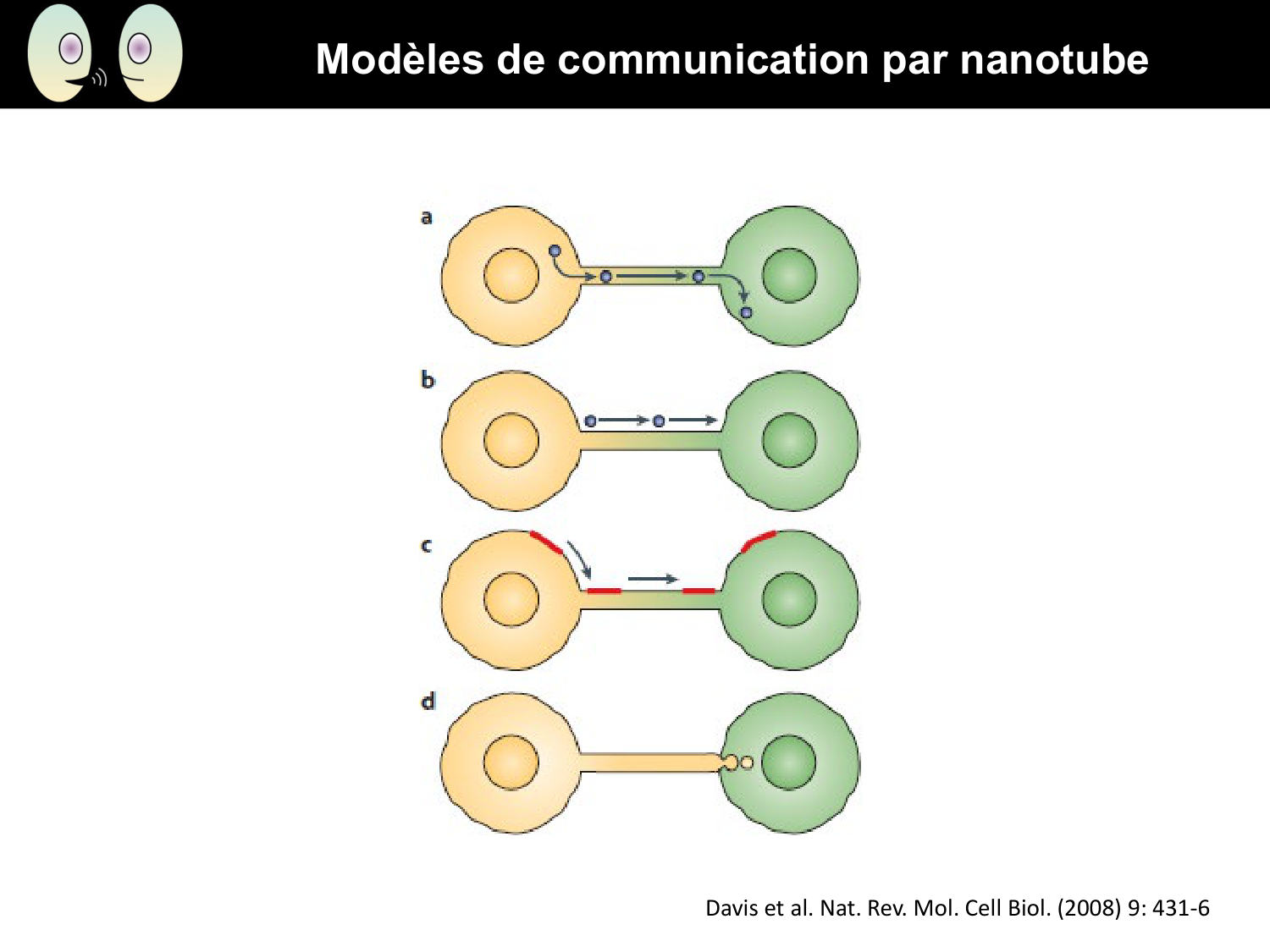 Signalisation cellulaire I page 12