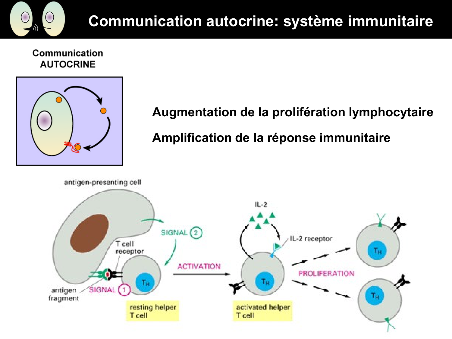 Signalisation cellulaire I page 16