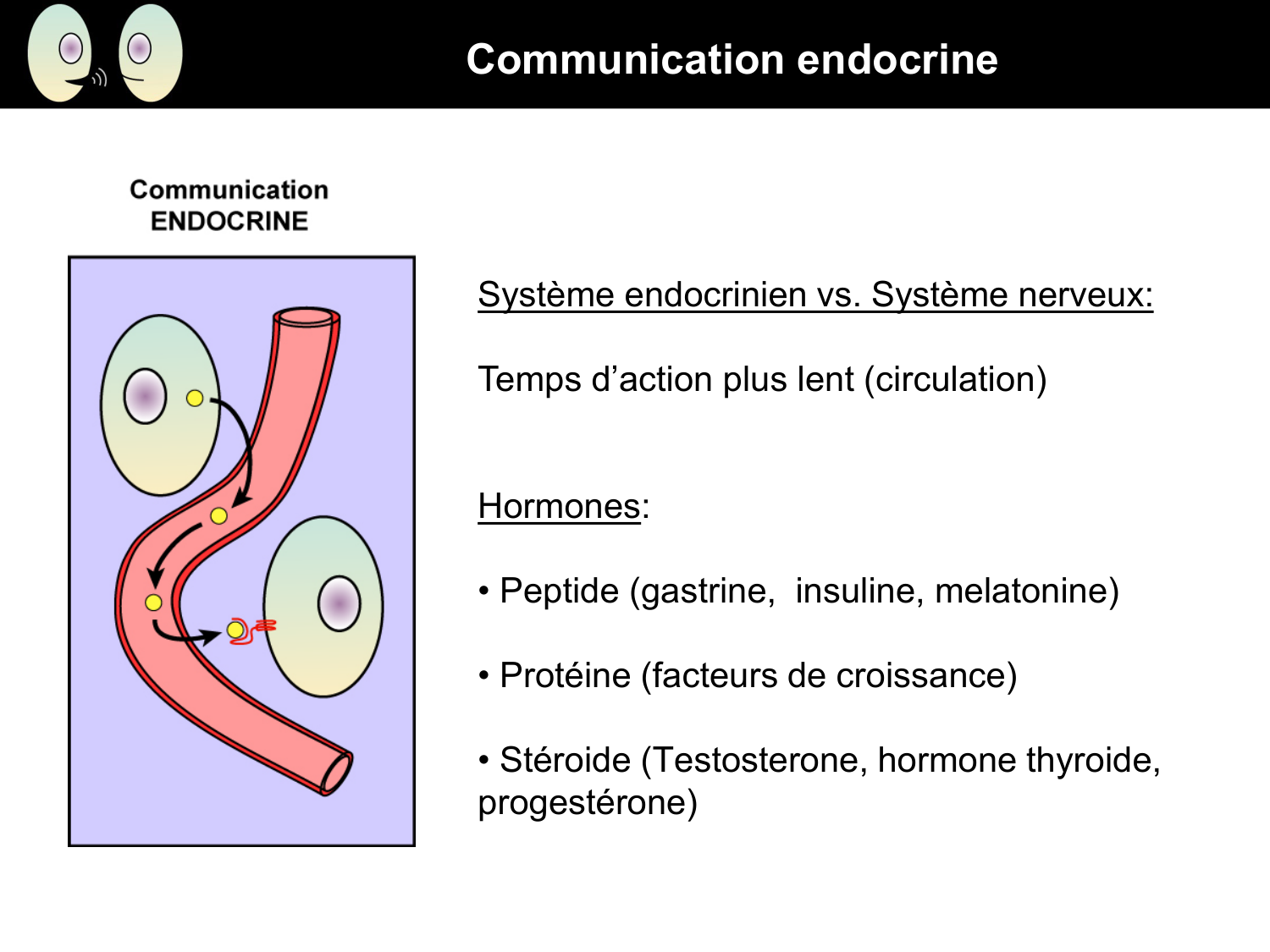 Signalisation cellulaire I page 20
