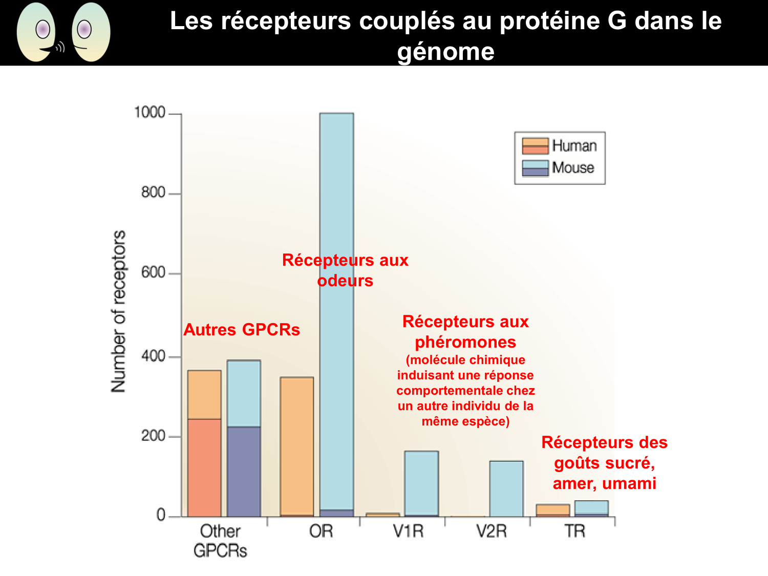 Signalisation cellulaire II page 11