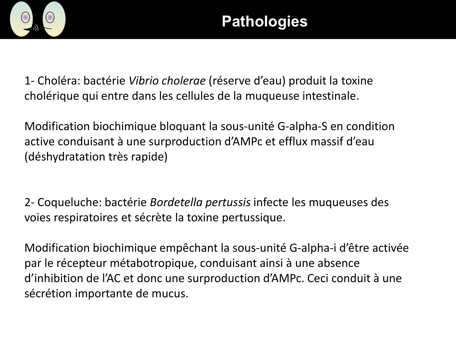 Signalisation cellulaire II page 25