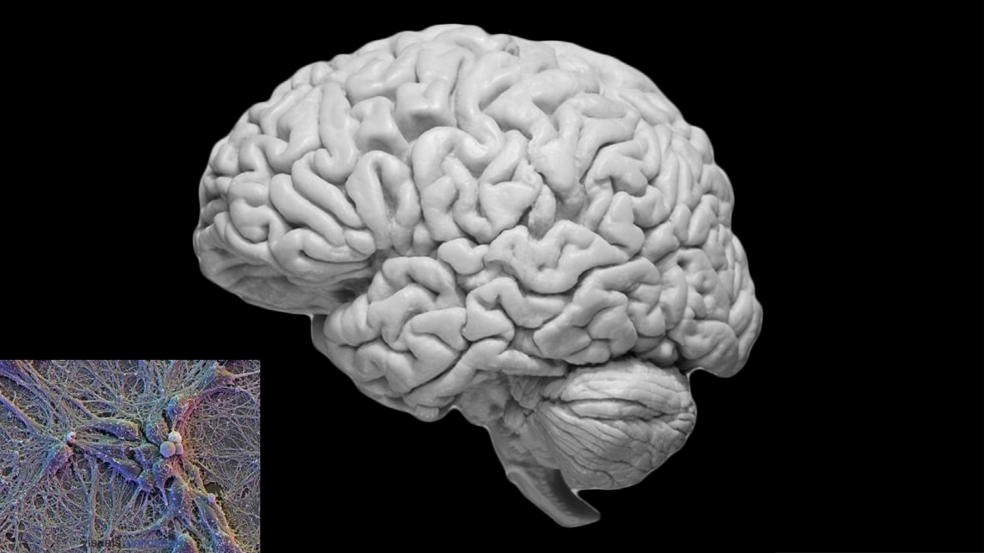 Jabaudon Cours1 14Nov2016 page 3