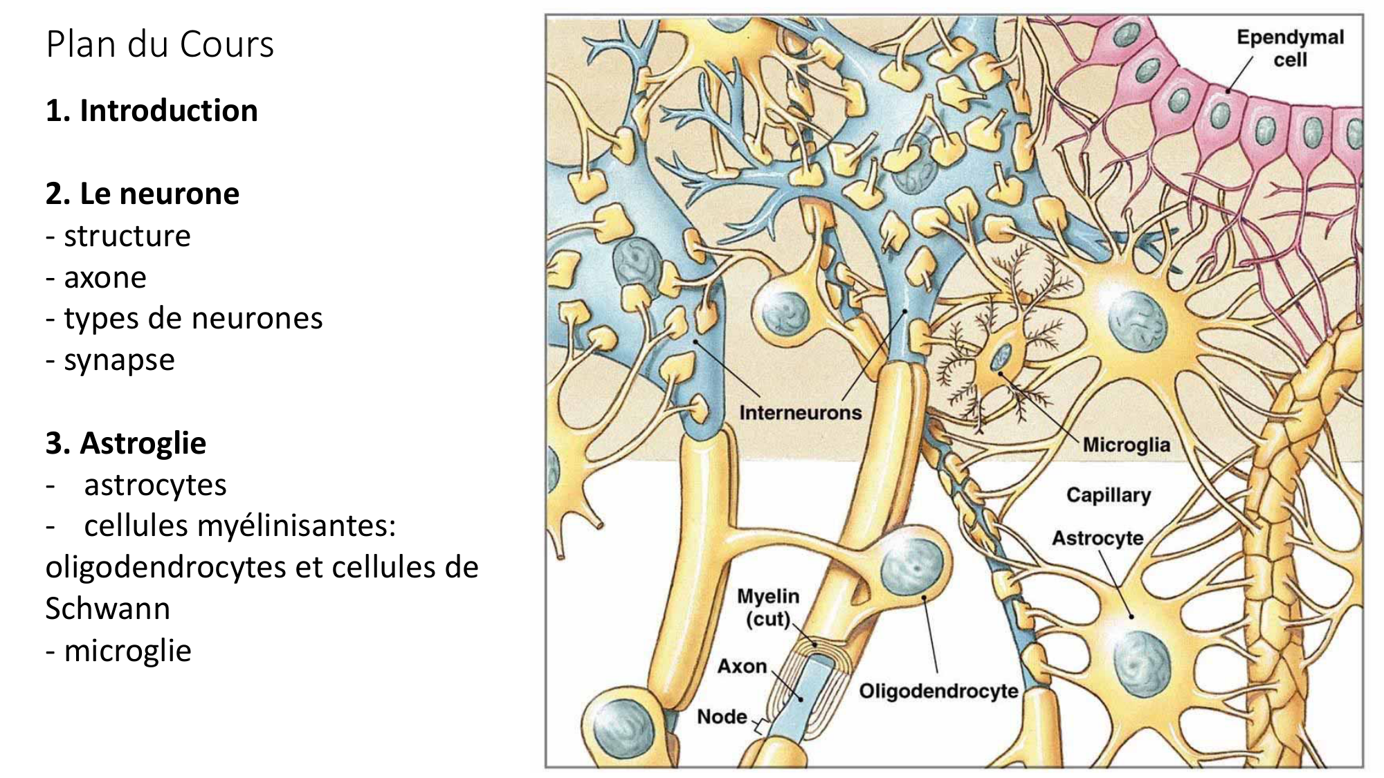 Jabaudon Cours1 14Nov2016 page 5