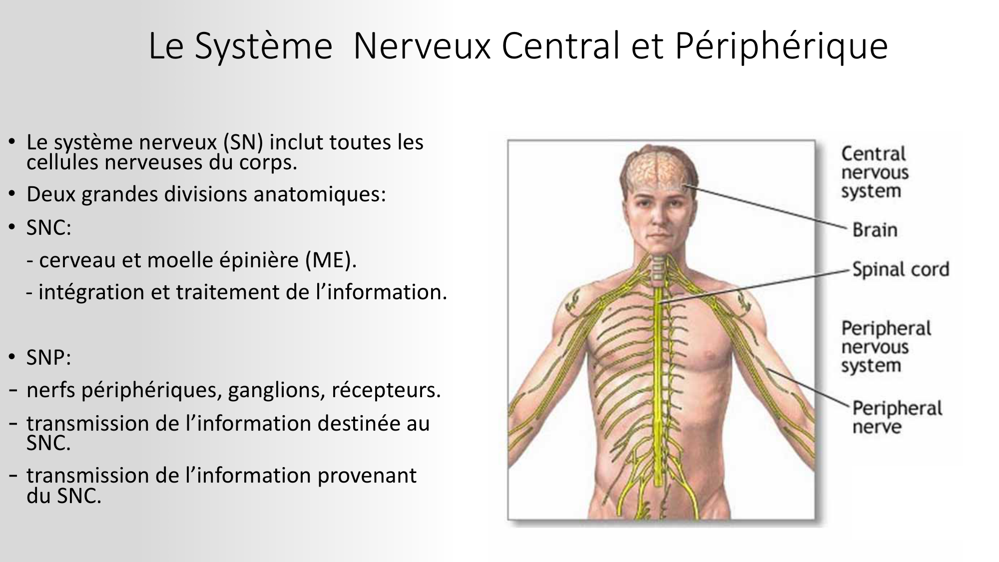 Jabaudon Cours1 14Nov2016 page 6