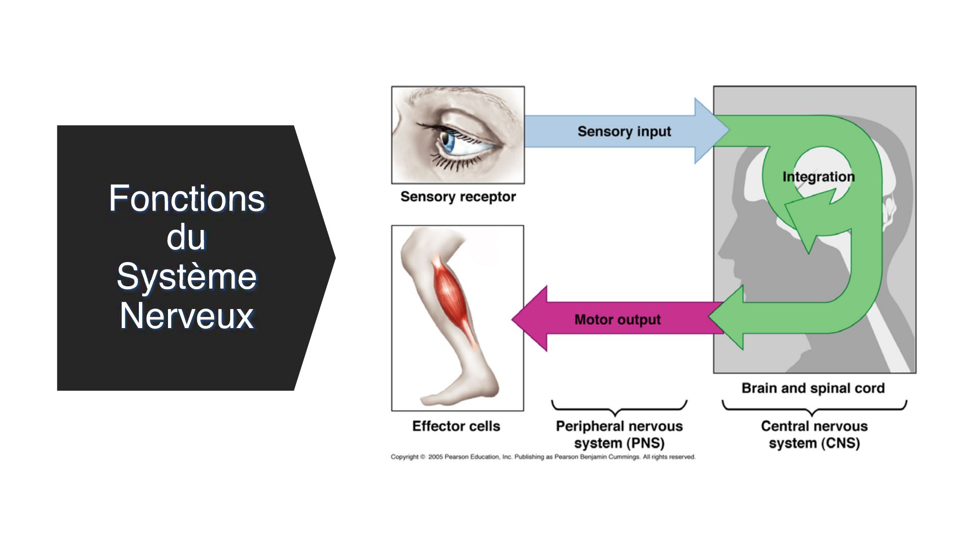Jabaudon Cours1 14Nov2016 page 7