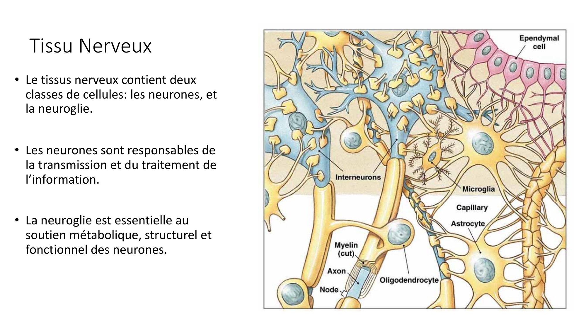 Jabaudon Cours1 14Nov2016 page 9