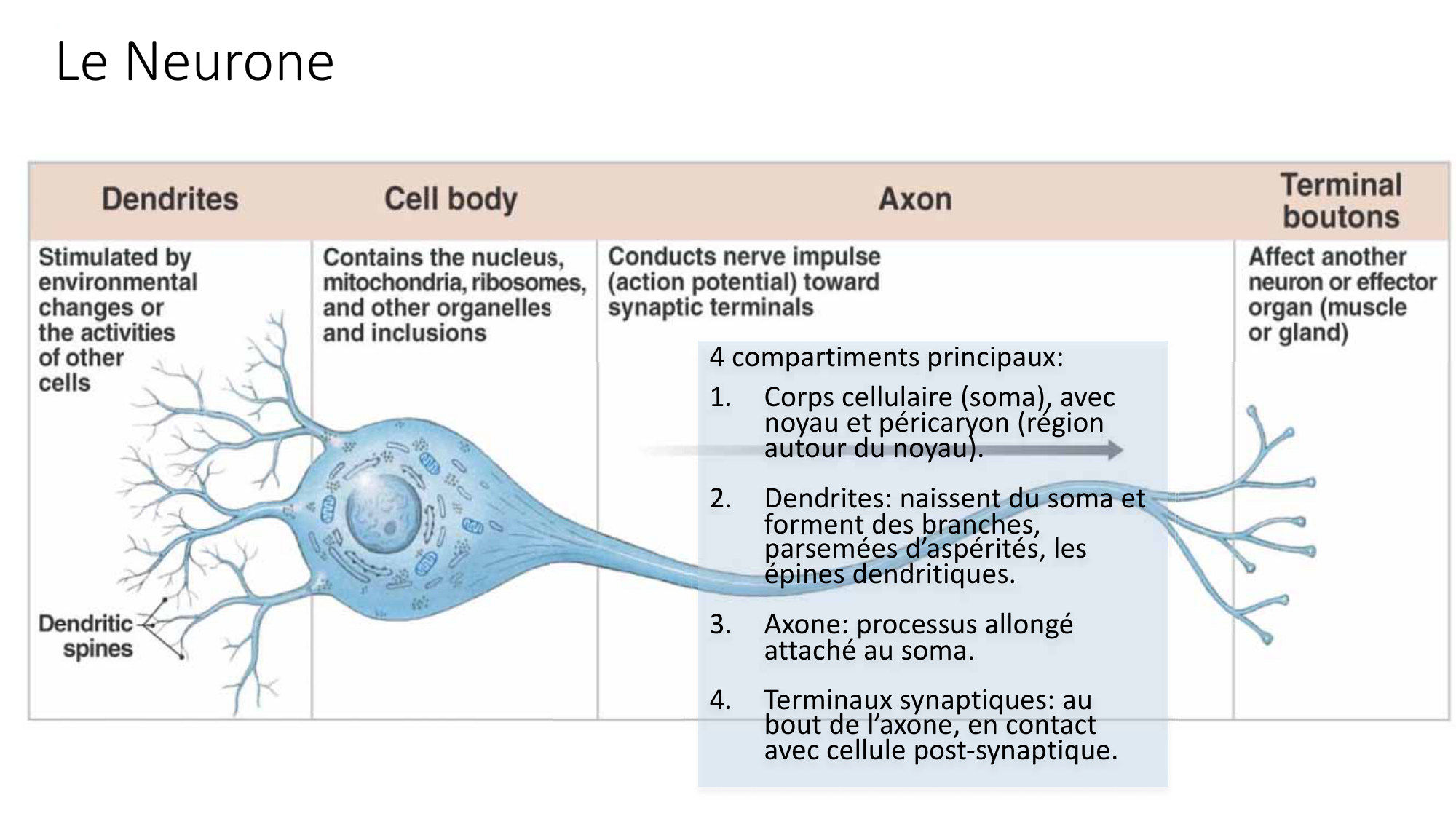 Jabaudon Cours1 14Nov2016 page 10