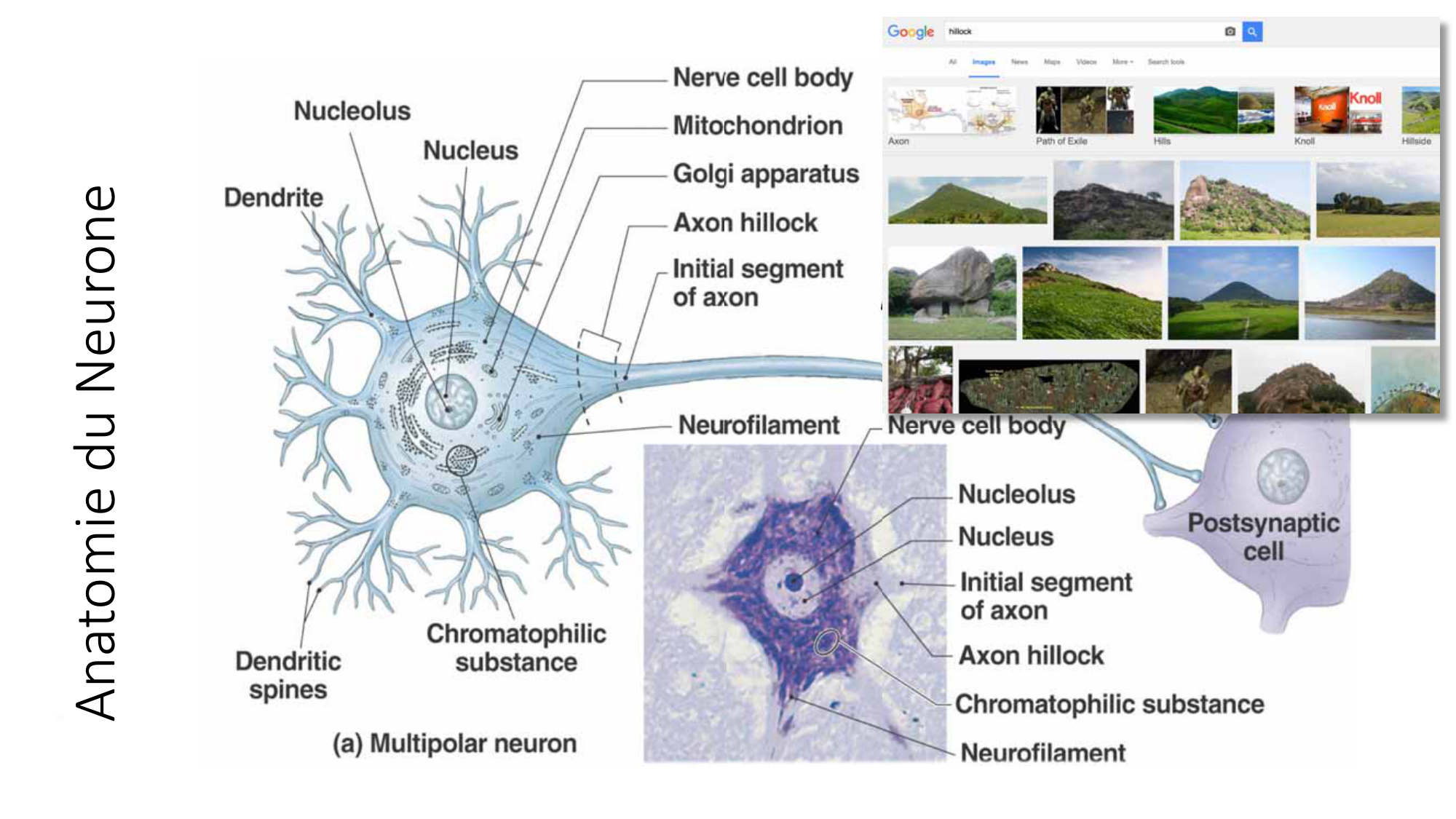Jabaudon Cours1 14Nov2016 page 14