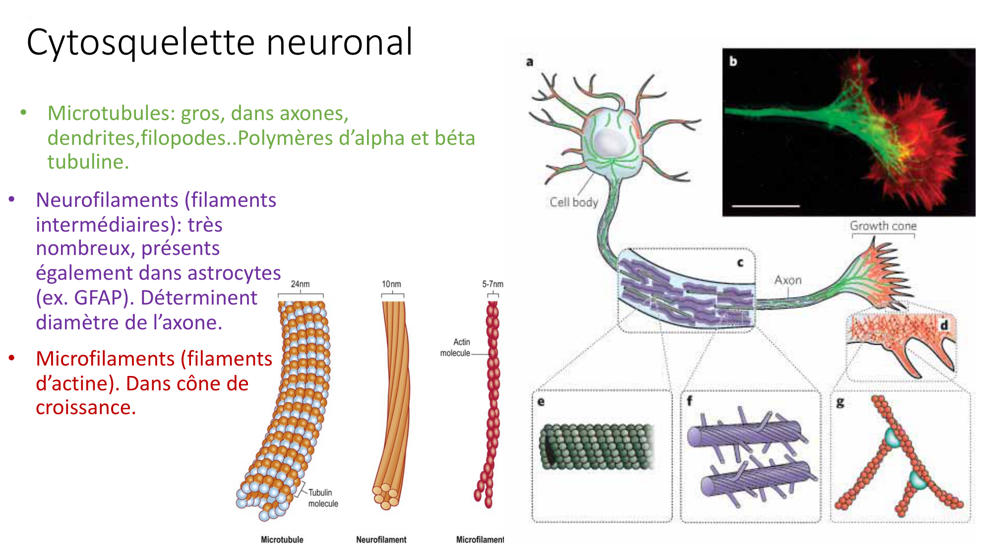 Jabaudon Cours1 14Nov2016 page 16