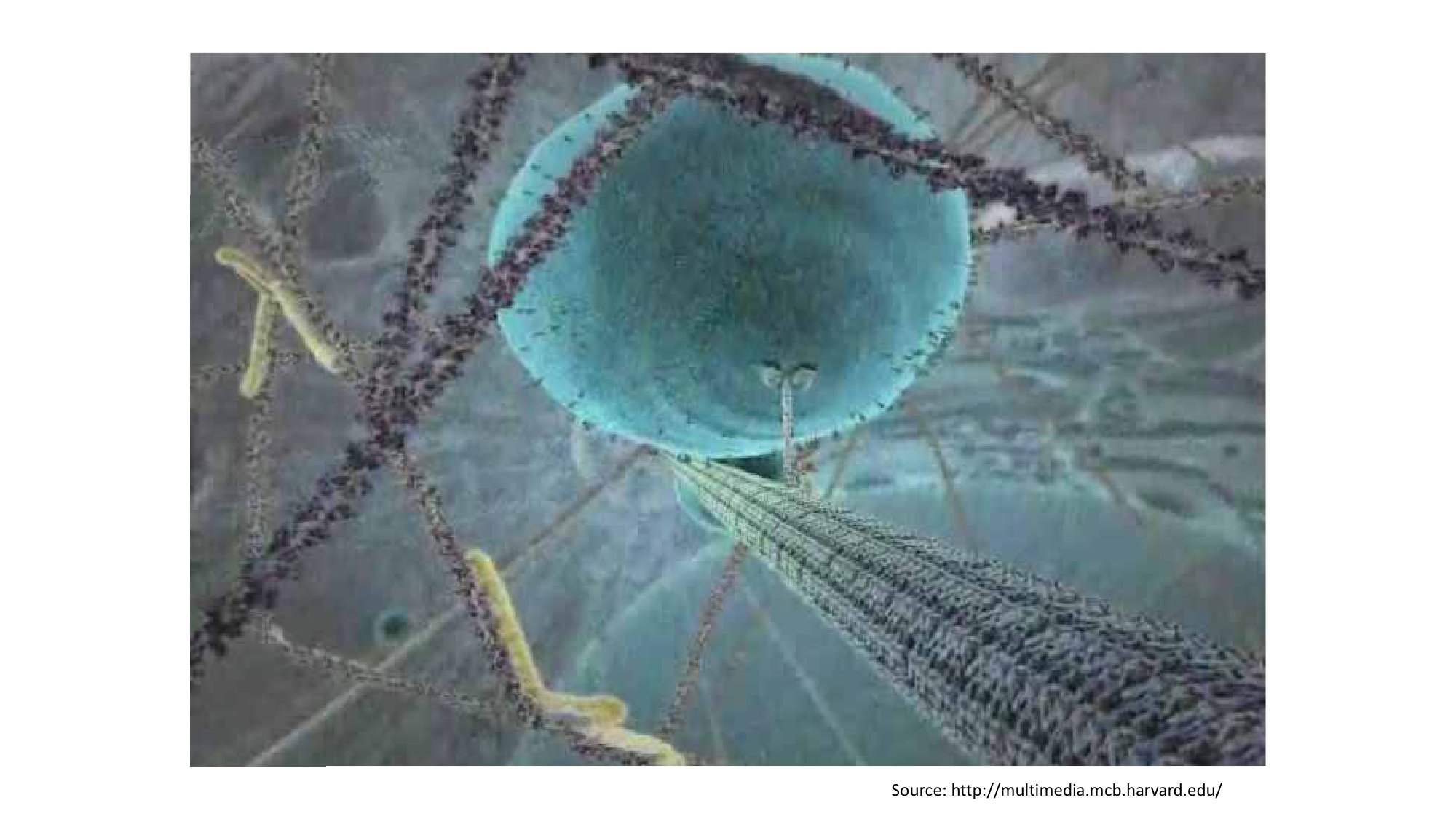 Jabaudon Cours1 14Nov2016 page 19