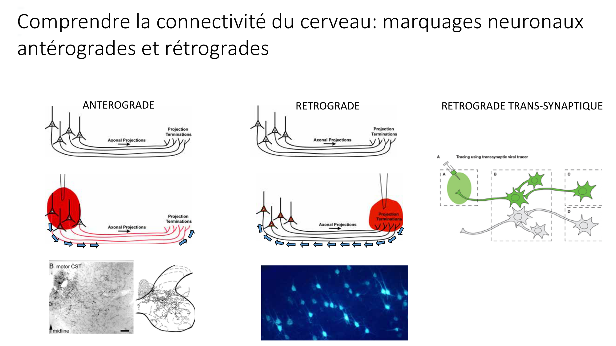 Jabaudon Cours1 14Nov2016 page 20