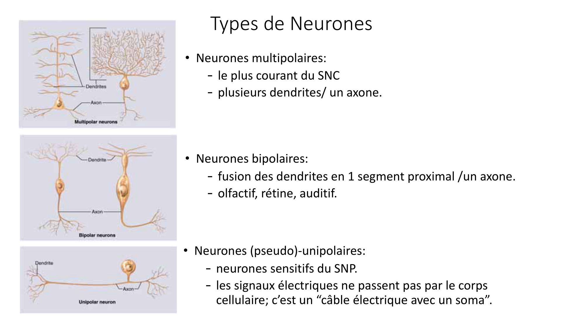 Jabaudon Cours1 14Nov2016 page 22