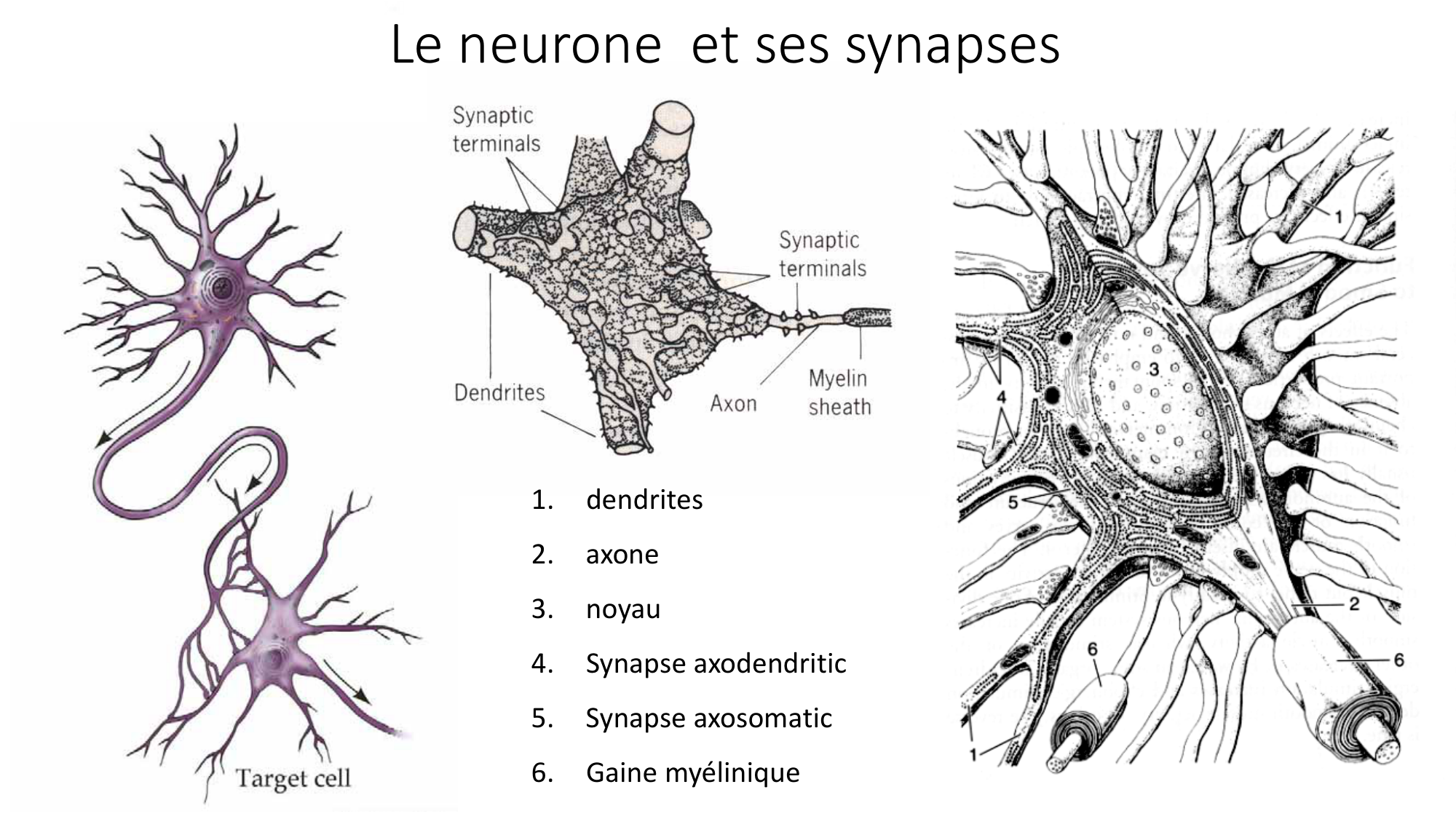 Jabaudon Cours1 14Nov2016 page 26